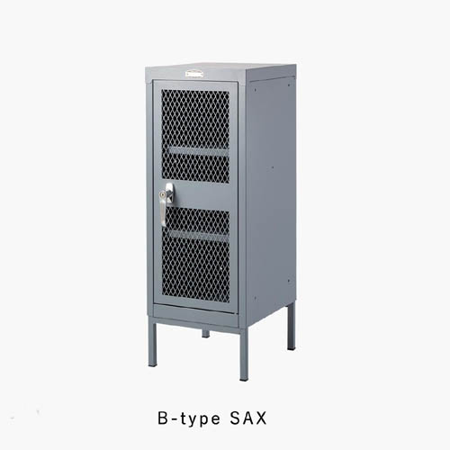 B-type  SAX